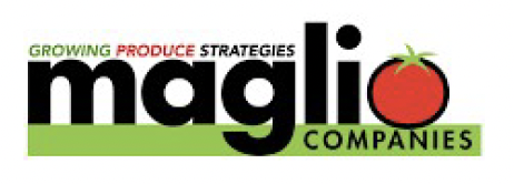 magliocompanies